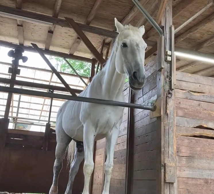 クラウドの四十九日