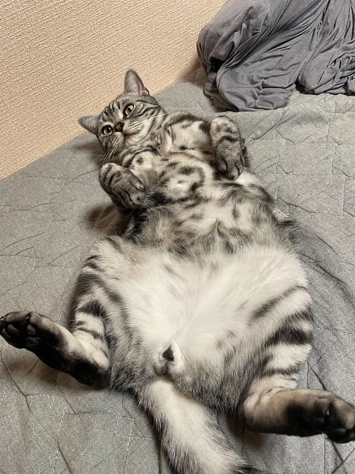 【寛解のご報告＆リターン進捗】