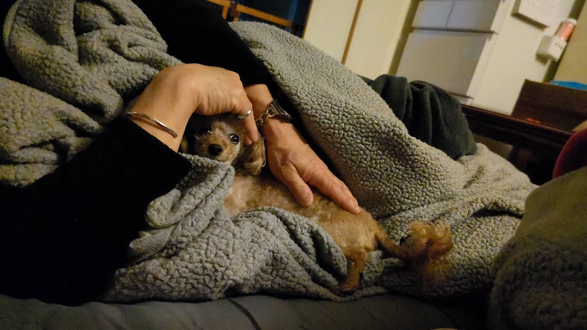 毎日リンスと闘っています