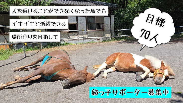 人を乗せることができない馬にも活躍の場を|紡っ子サポーター募集中