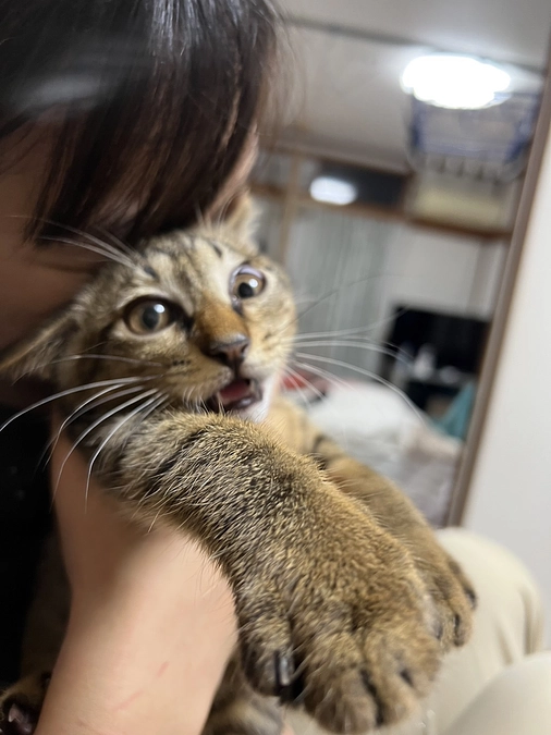 7月8日 通院 薬+血液検査に行ってきます。