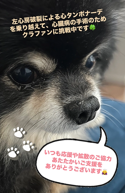 みなさまのお力添えに感謝🙏