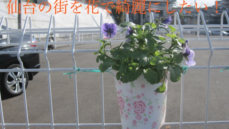 手作りのフラワーカップで仙台の街中をきれいにしたい！！