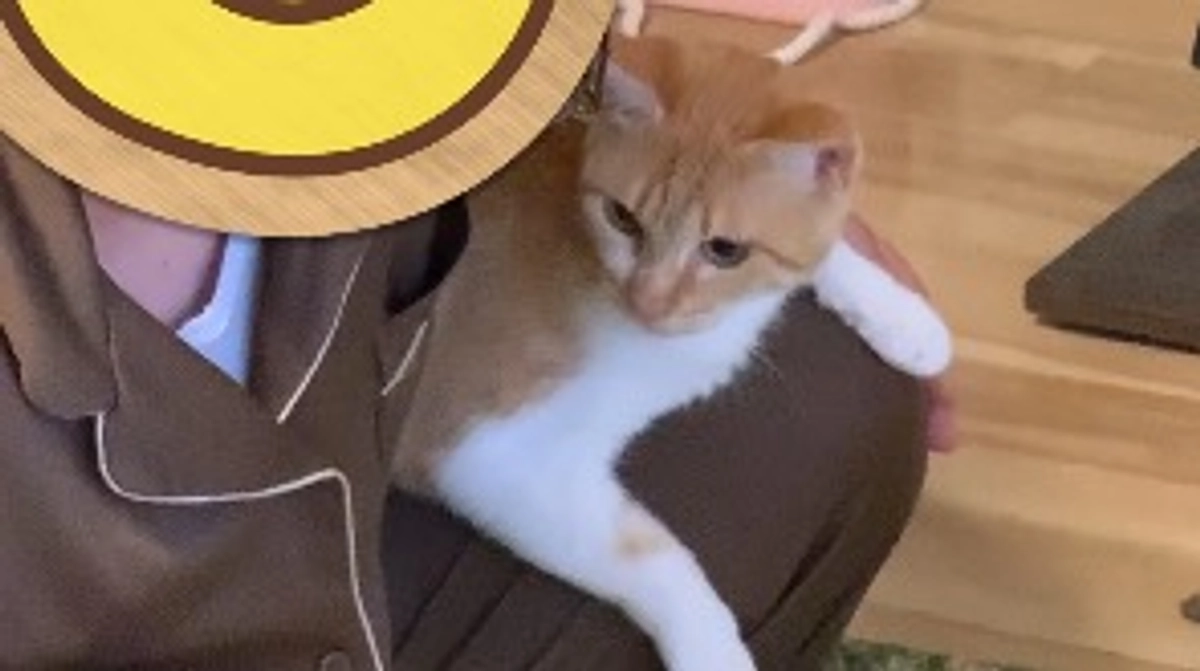 投薬65日目（プロジェクト開始25日目）