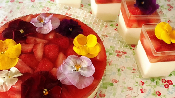 頑張っている女性のご褒美に。花とフルーツの美スイーツ