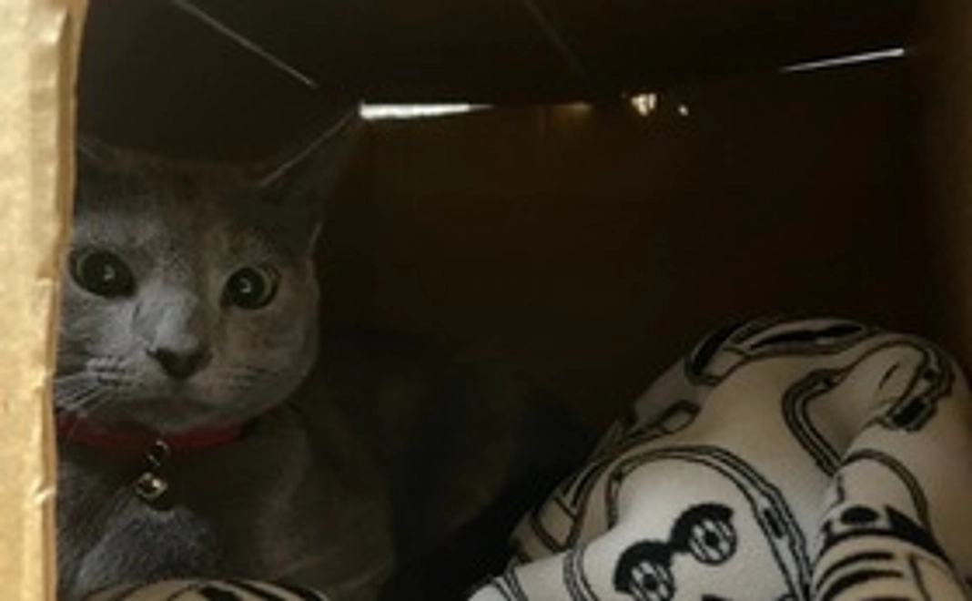 もんちゃん応援02