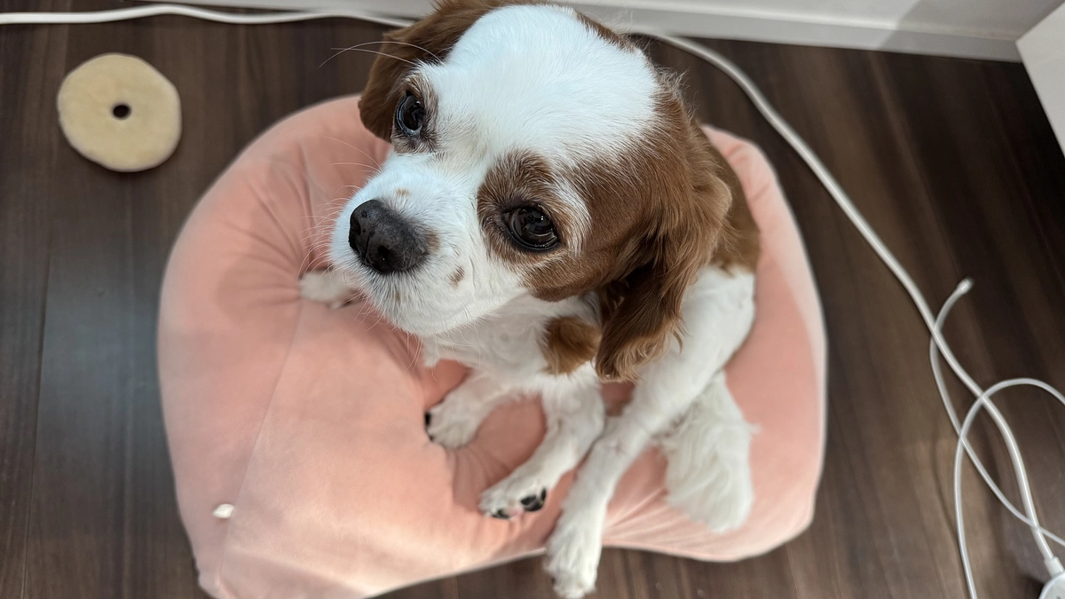 残り3週間です【39日目】