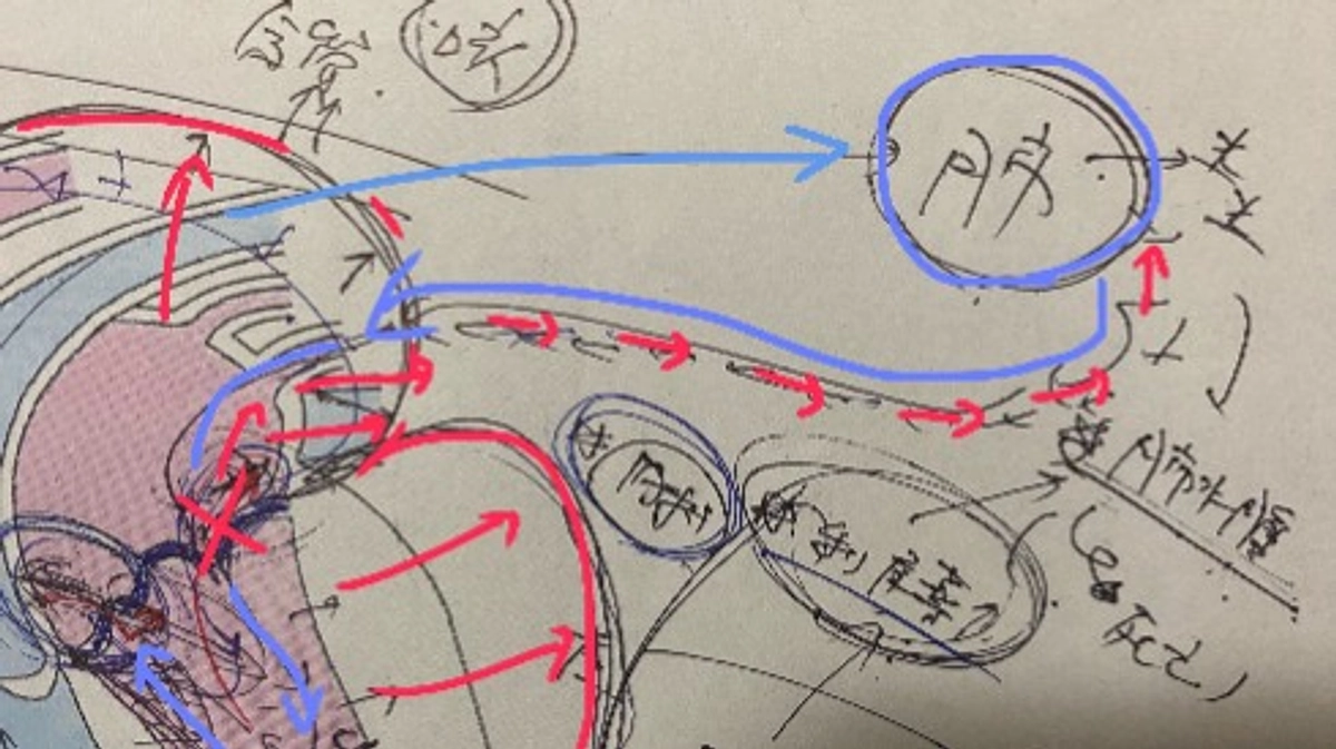 【残り8日】ラフを襲った肺水腫