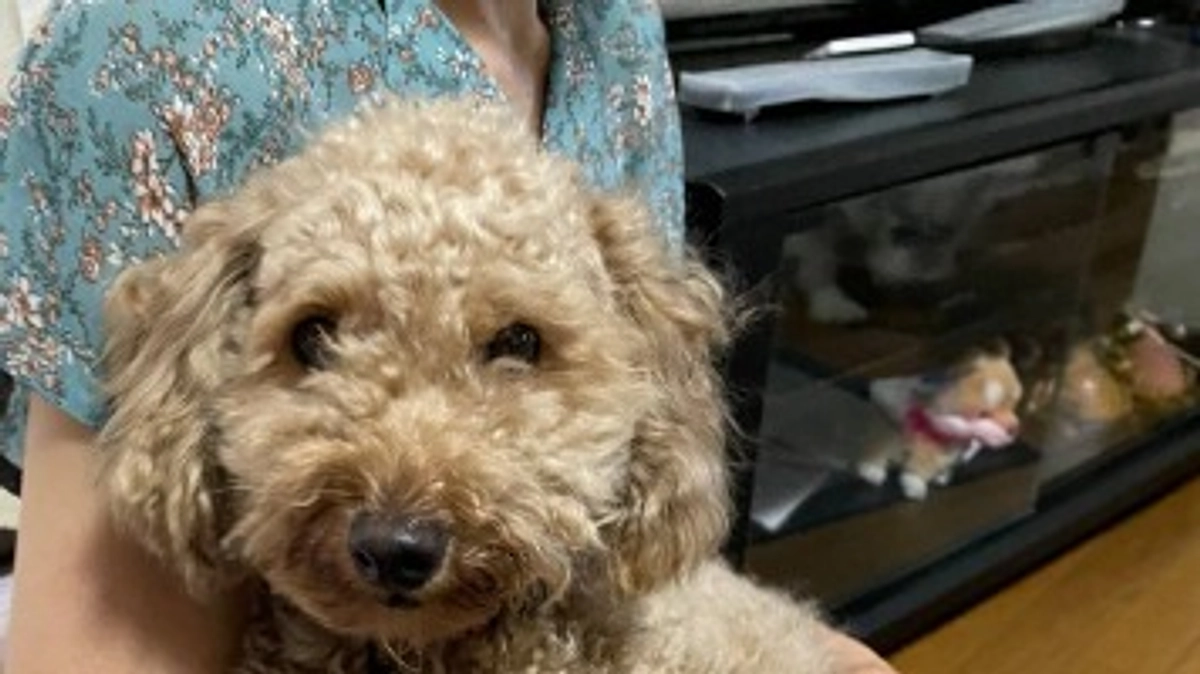 ずっとのお家が決まりました！