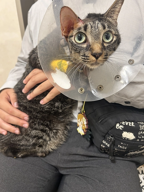 面会に行ってきました。