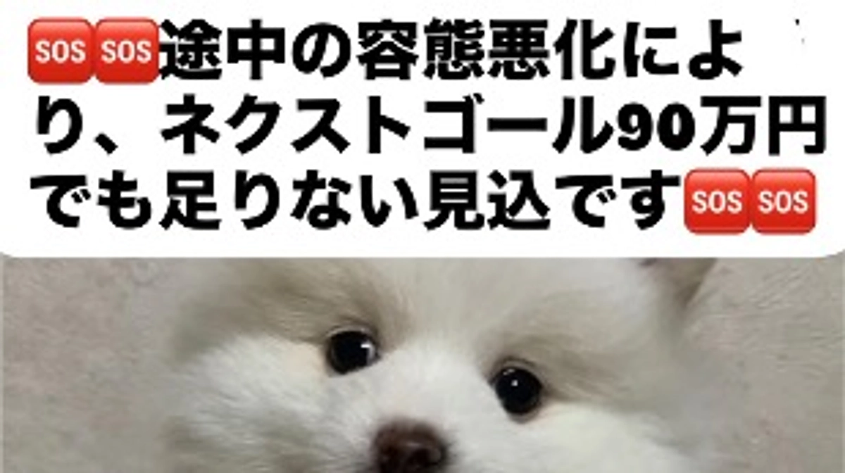  🆘後２日 🆘後１５万円🆘  お願いします