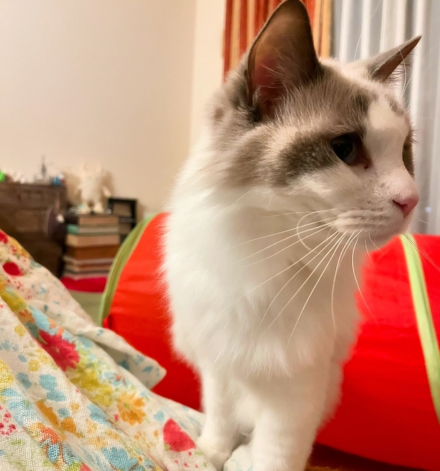 0127 先日の血液検査結果について