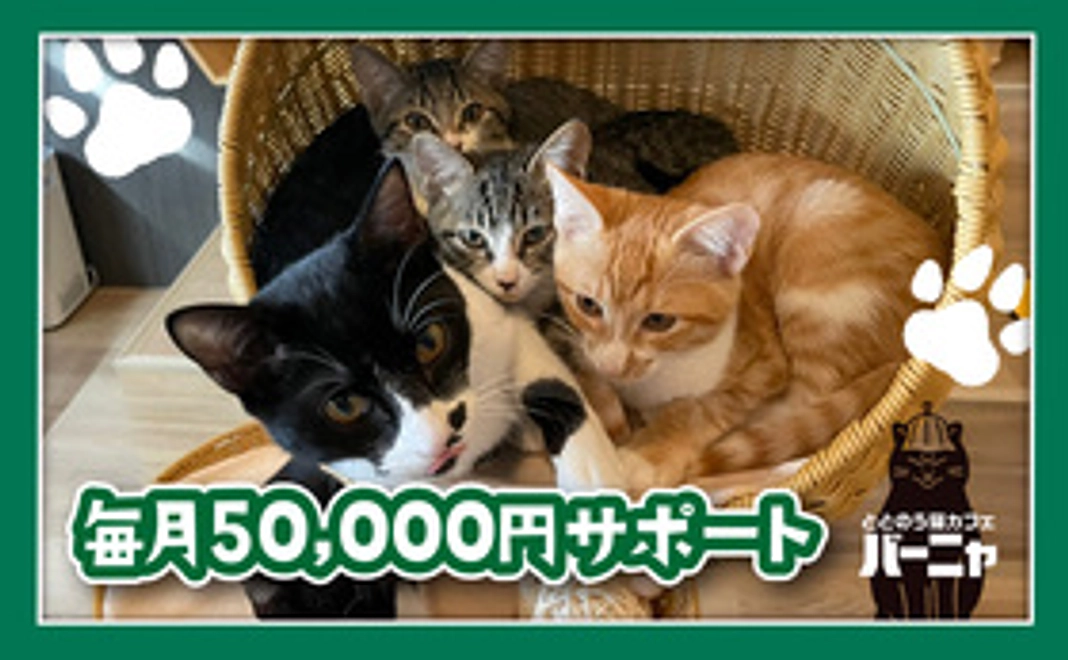 猫の常備お薬一ヶ月分相当ご支援