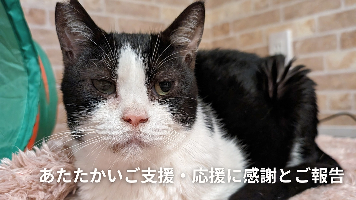 あたたかいご支援へ感謝とご報告※最後に重要なお知らせがございます