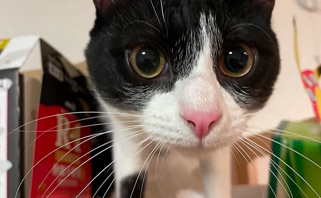 マンスリー継続応援3,000円コース