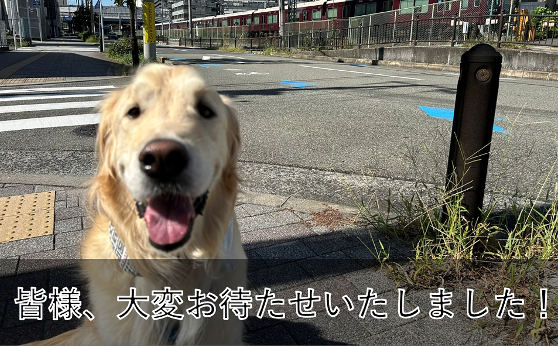  リターンの発送が完了しました！