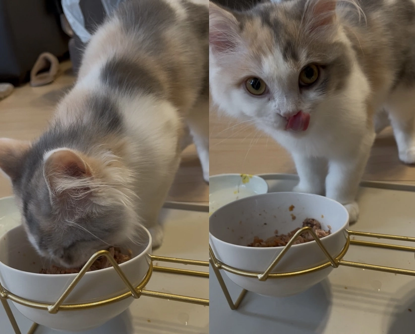 クラウドファンディング達成のお知らせ🙇‍♀️✨