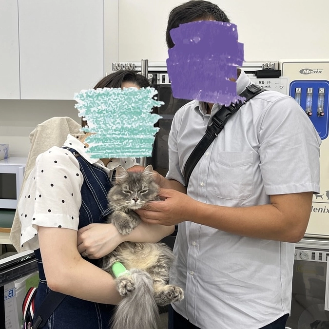 投薬26日目　私たち家族について