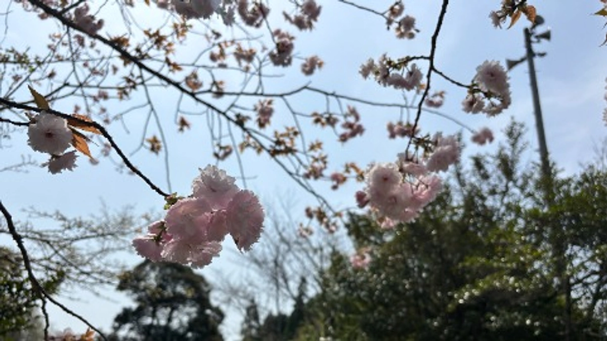 【活動報告168】週刊鹿深の家vol64