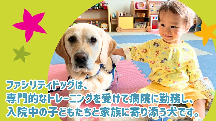 入院する子どもたちを笑顔に!ファシリティドッグ育成基金2024 2枚目