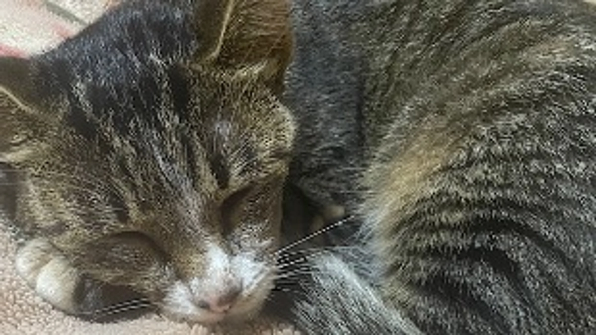 ちびちゃんの様子