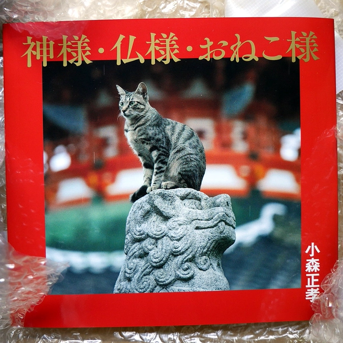 写真展『神様・仏様・おねこ様』開催のお知らせ