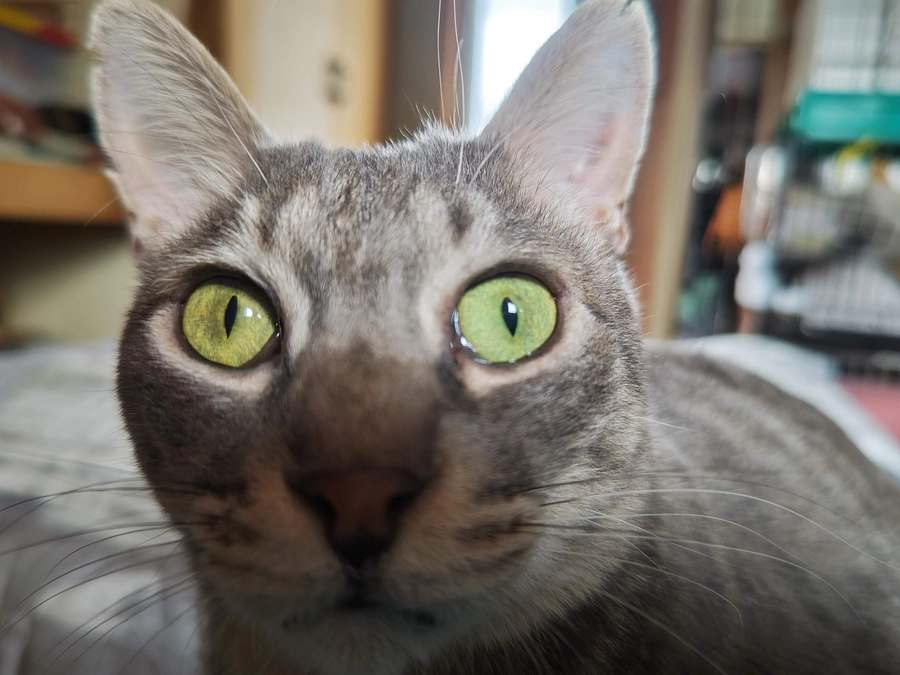 地域が変わる♪　そんなお手伝いが何よりの喜び🐾