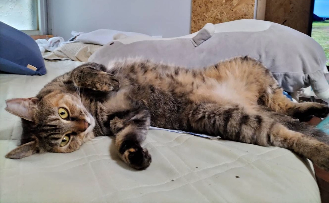 感謝のメール(１)