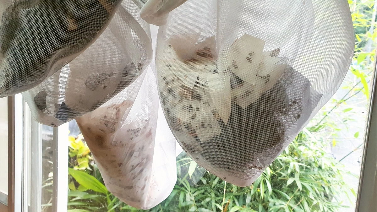 卵の管理と課題