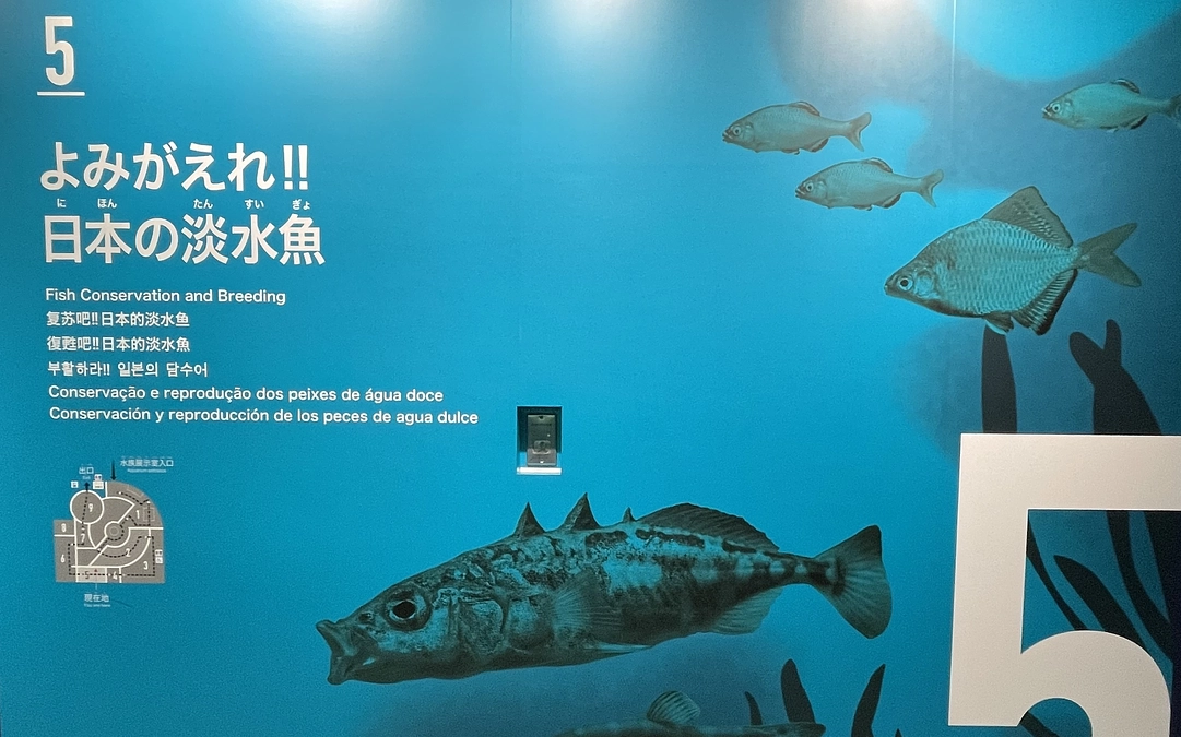 よみがえれ！！日本の淡水魚🐟