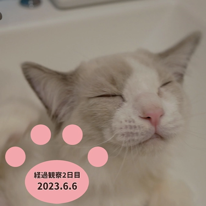 経過観察2日目(2023.6.6)