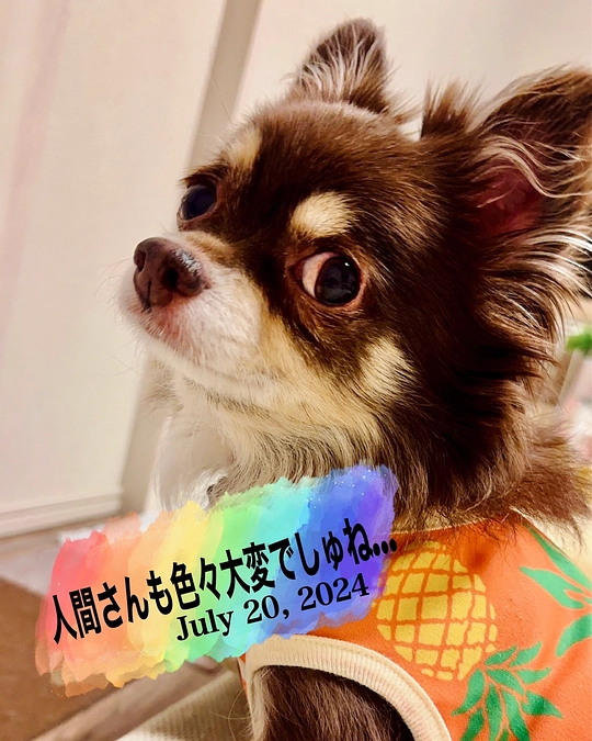 大変ご無沙汰しております。