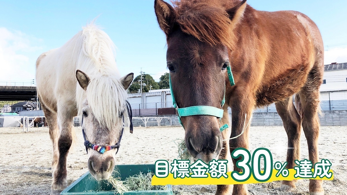 30%以上達成！応援ありがとうございます！