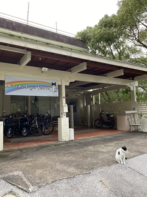 【高知ヨガフェスタ2023】当日のお弁当ご予約承ります♡