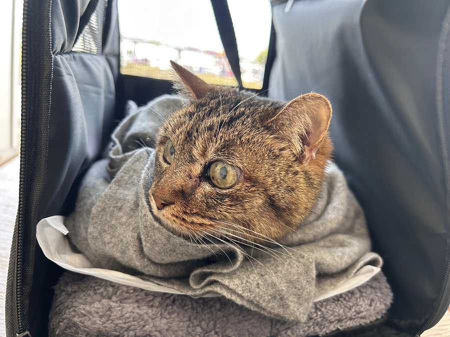 みっちゃんの近況2