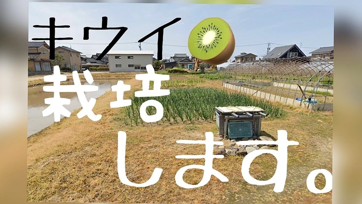 実家の裏庭でレッドキウイを栽培し限界集落を盛り上げる