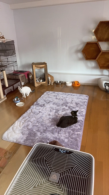 ファーストゴールまであと少しのところまで来ました