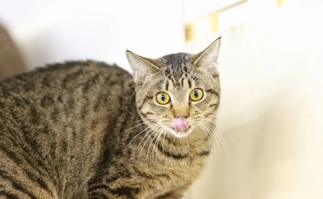 【全額ご支援】3.000円コース