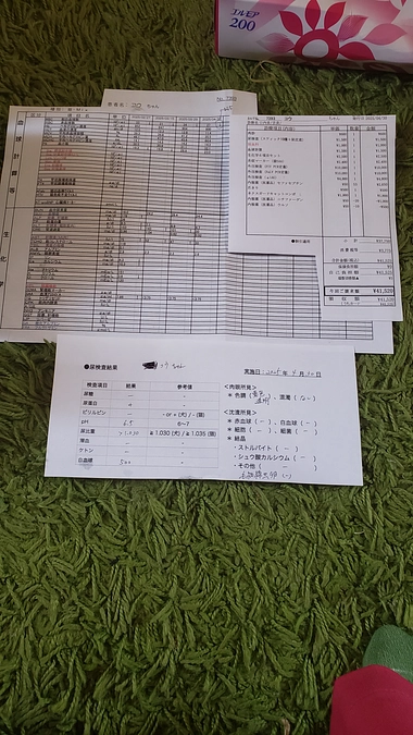 昨日動物病院へ