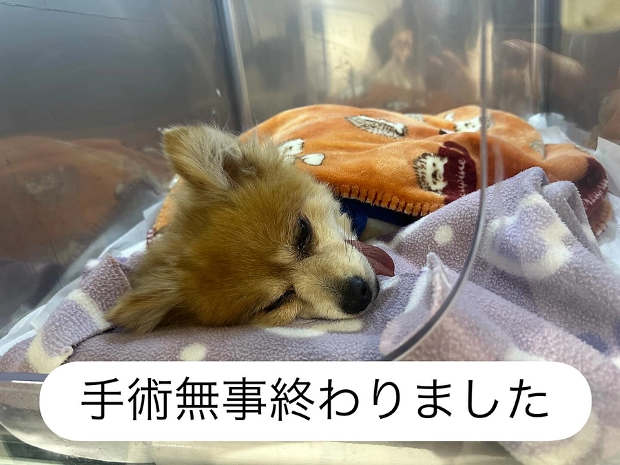 無事手術終わりました！