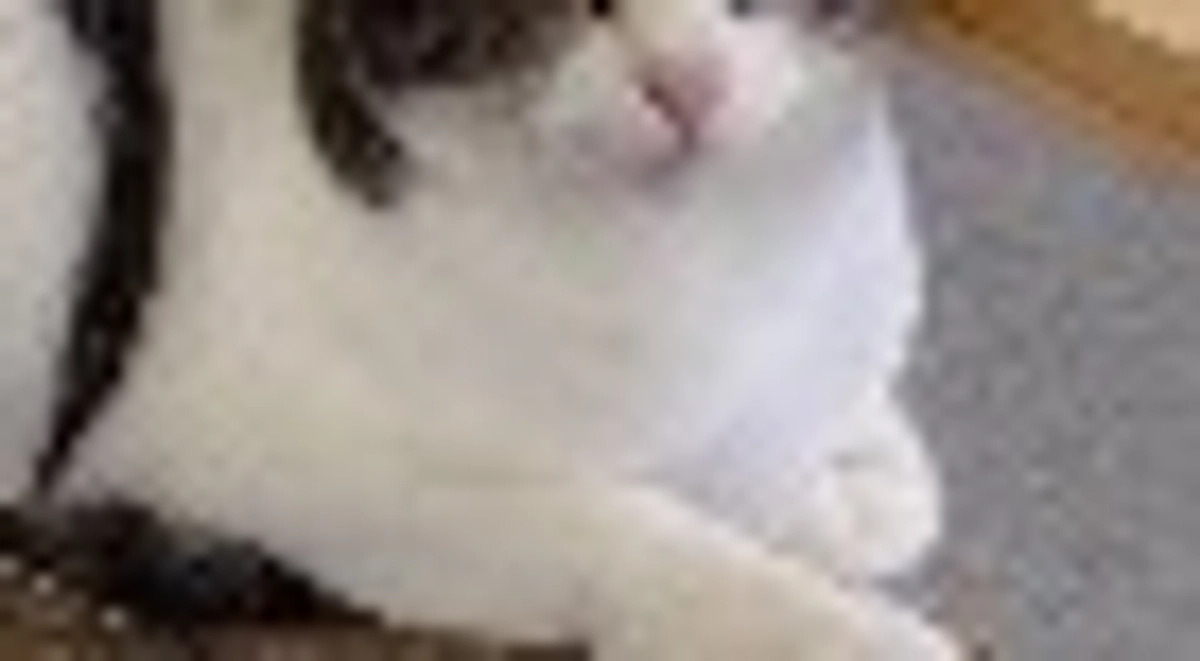 プロジェクト始動