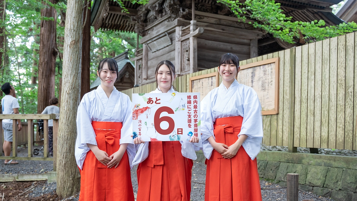 【カウントダウンあと6日!】本殿裏の三羽のうさぎと共に。