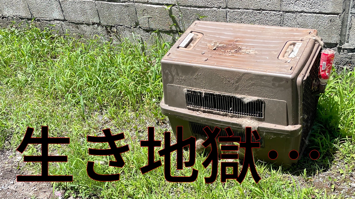 この２日の出来事。