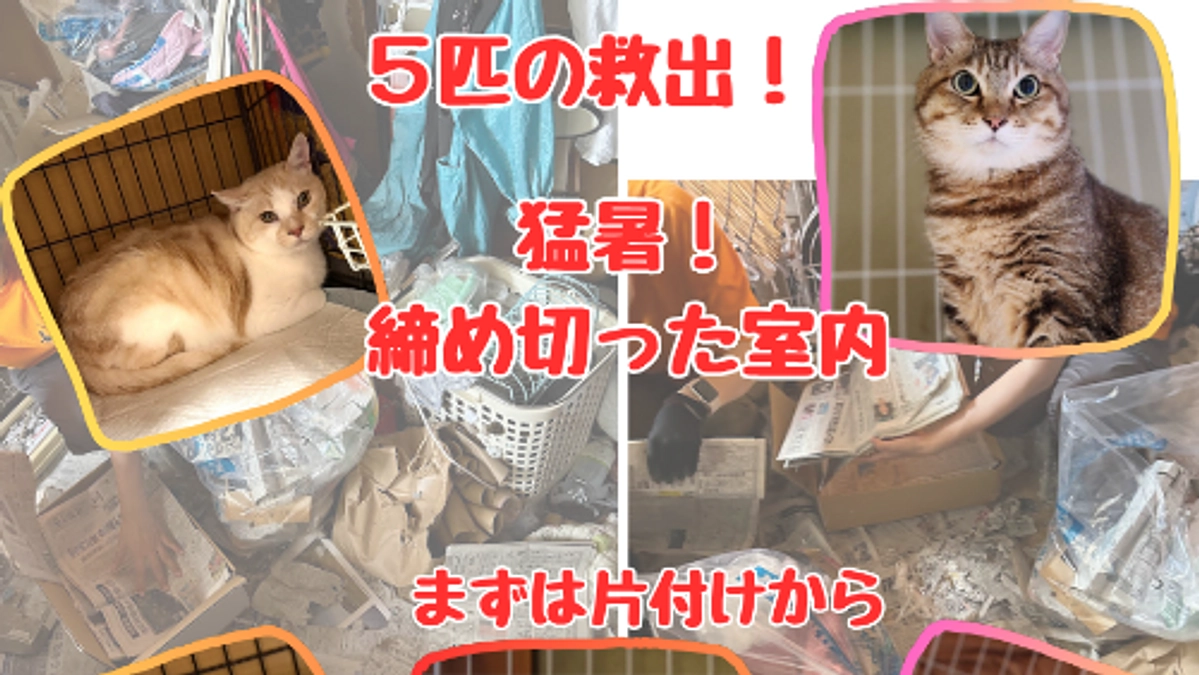 猛暑の７月も終わりました！