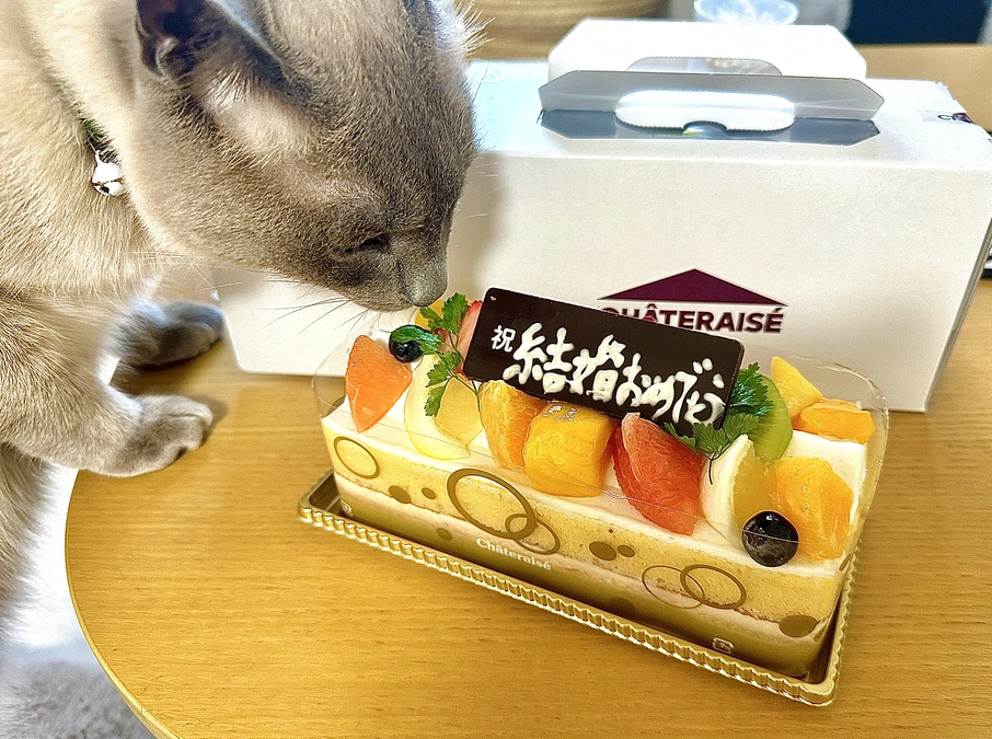 報告遅れて申し訳ありません。鈴月は寛解致しました！！