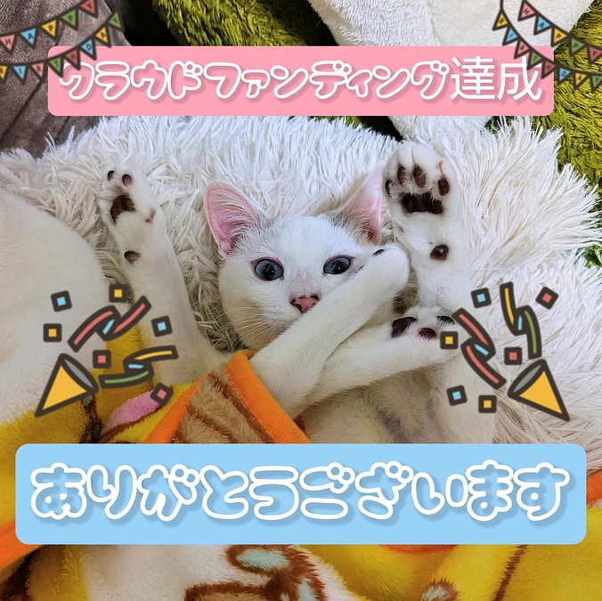 ✨クラウドファンディング達成✨