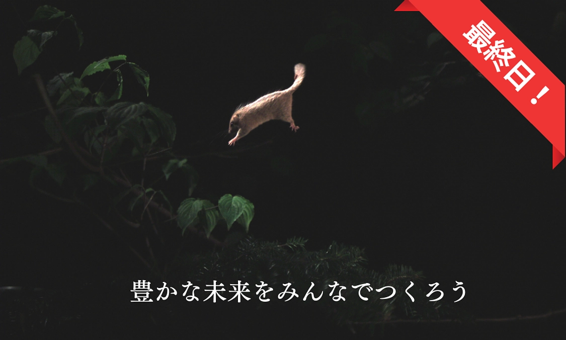 【セカンドゴール達成！🎉】いよいよ最終日！ 🍃