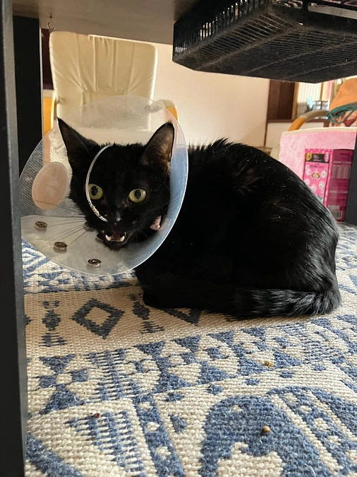 色んな事と向き合って