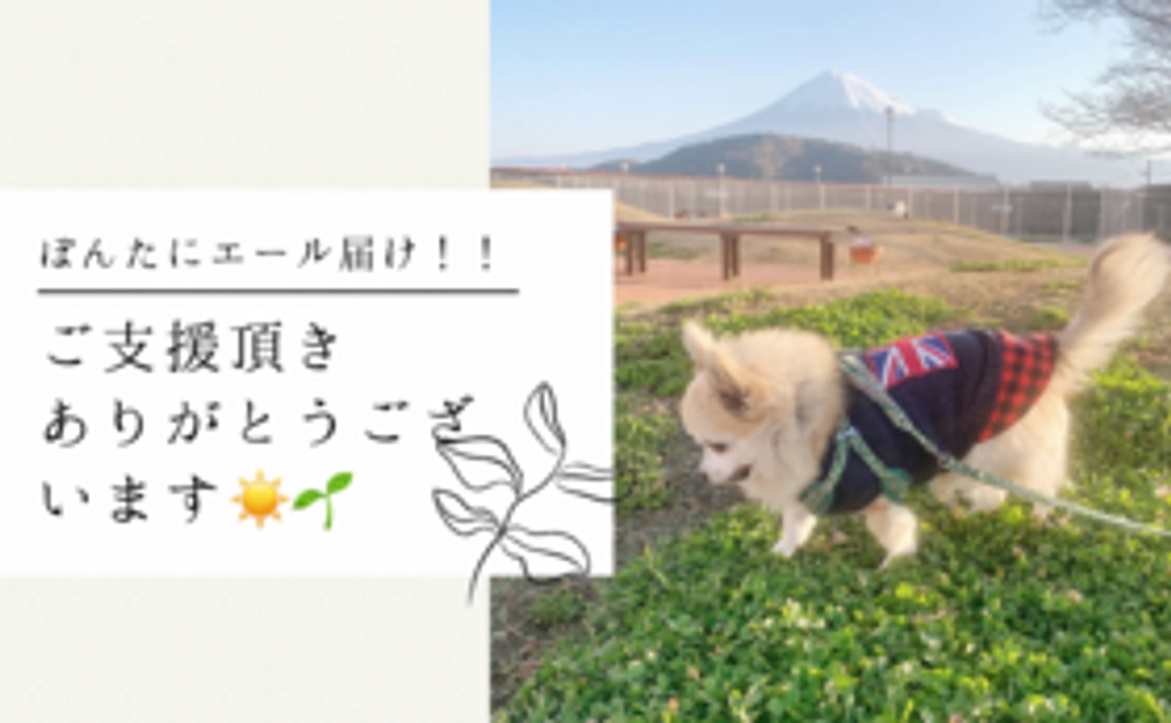 ぽんた応援コース2