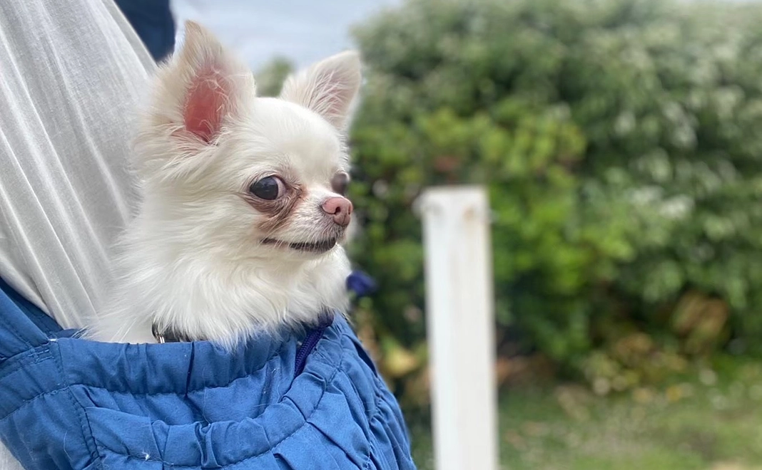心からの感謝の気持ちを送らせて頂きます